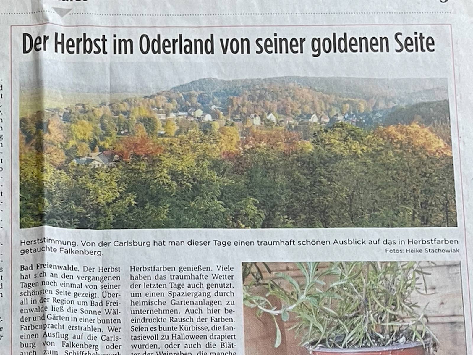 Zeitungsartikel Carlsburg -Vom Jagdhaus zum Restaurant